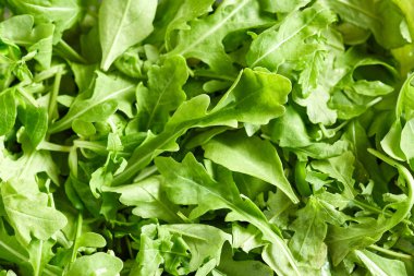 Çeşitli, sağlıklı ve taze yeşil salata karışımı yakından görmek