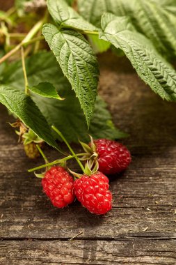 Ahşap arka planda ahududu yakın çekim görünümü