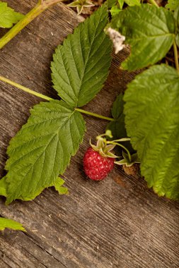 Ahşap arka planda ahududu yakın çekim görünümü