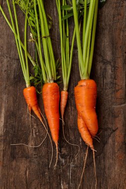 Ahşap rustik arka plan üzerinde taze havuç yığınının yakından görünümü