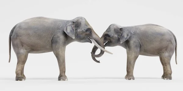 Renderização Realista Elefantes Asiáticos — Fotografia de Stock