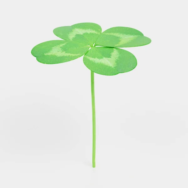 Realistic Render Clover Plant — Stock Photo, Image