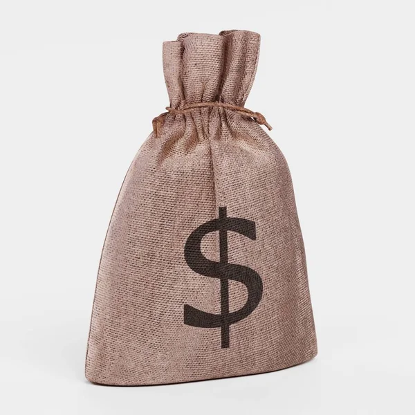 Realistic Render Money Bag — Stock Photo, Image