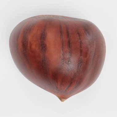 Tatlı kestane gerçekçi 3d Render