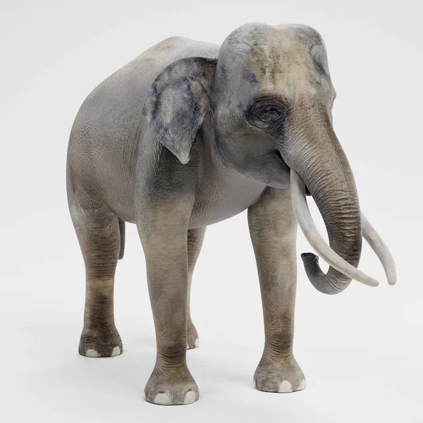 Realistische Darstellung Eines Asiatischen Elefanten Männchen — Stockfoto