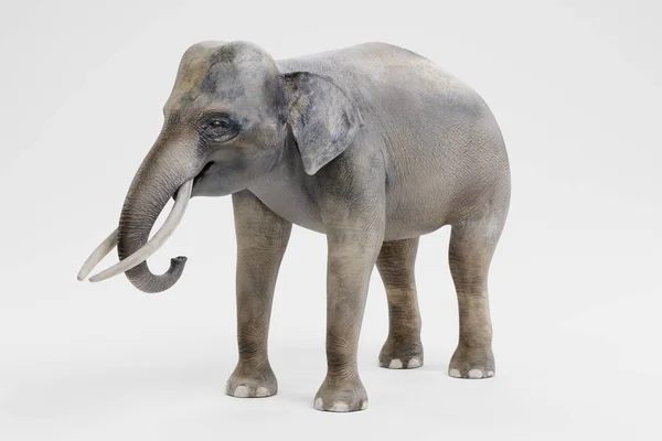 Realista Render Elefante Asiático Masculino — Fotografia de Stock