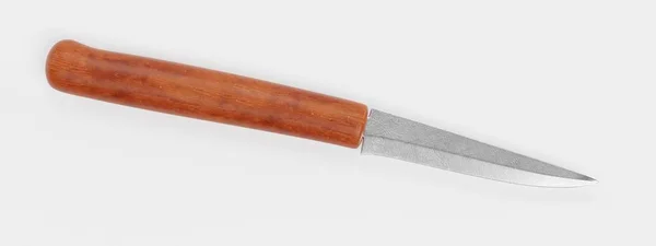维京匕首的逼真的3D — 图库照片