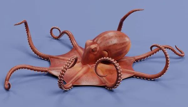 巨型太平洋章鱼逼真的3D渲染 — 图库照片
