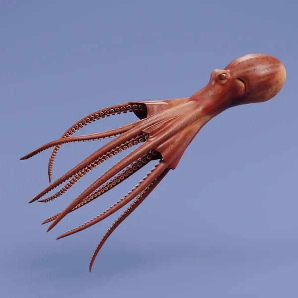 Realista Renderizado Pulpo Gigante Del Pacífico —  Fotos de Stock