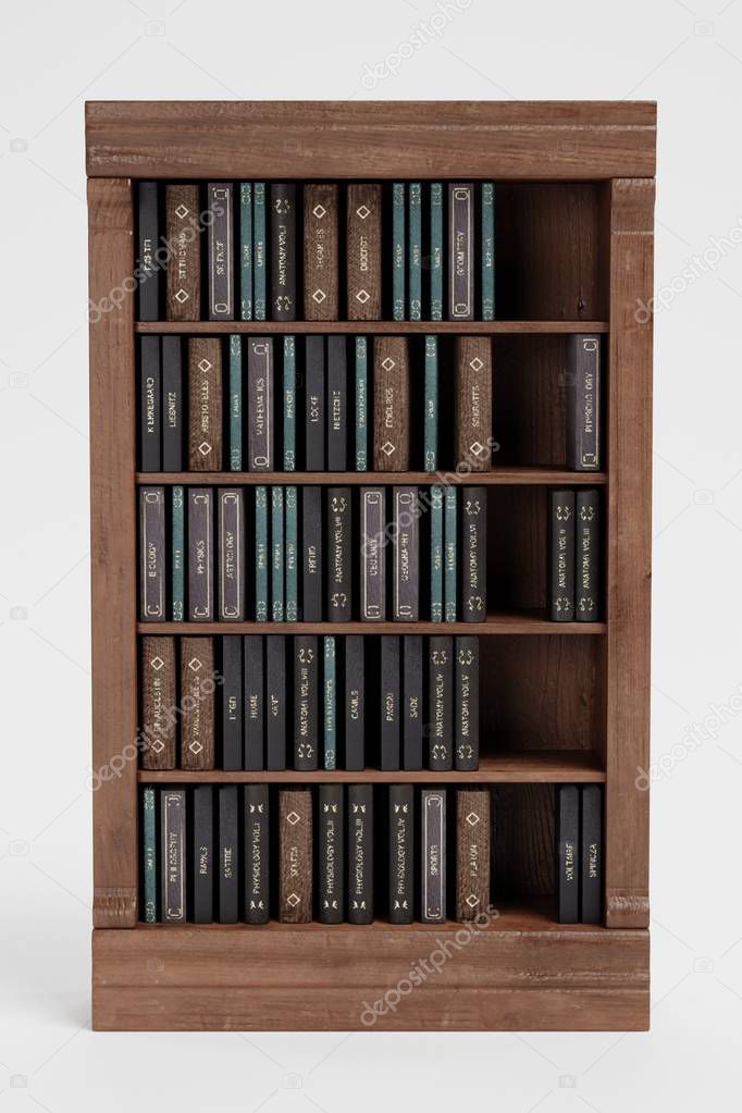 Realistic 3D Render of Bookshelf with Books