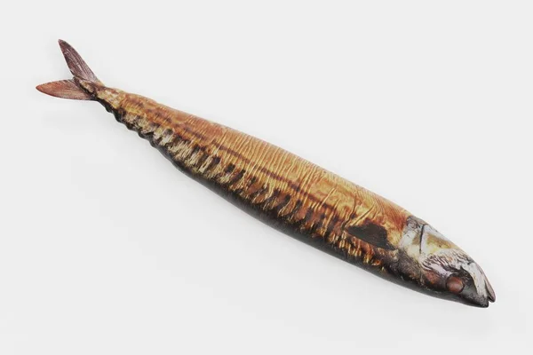 Realistische Darstellung Der Geräucherten Makrele — Stockfoto