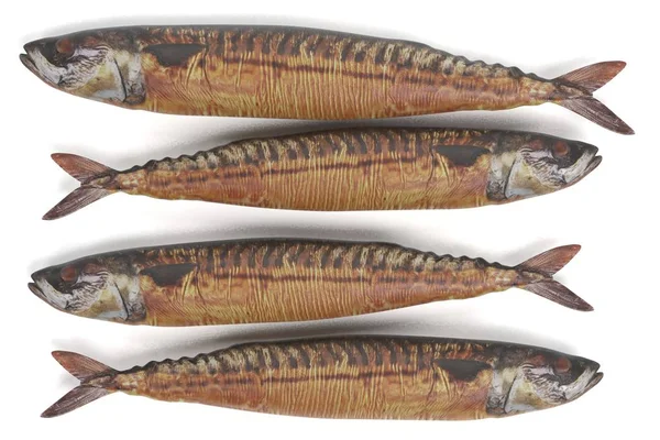 Renderização Realista Mackerels Fumados — Fotografia de Stock