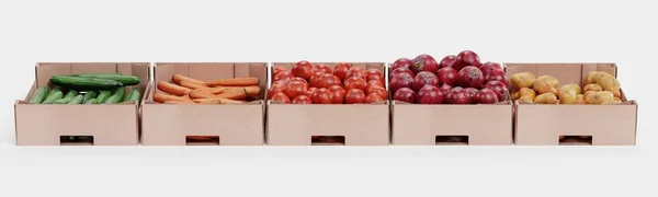 Реалістичний Рендеринг Овочів Коробках — стокове фото