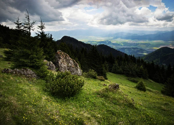 Natura Paesaggio Stagionale Prato Verde Montagna — Foto Stock