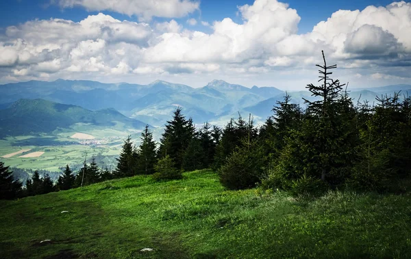 Sfondo Naturale Vista Dal Prato Montagna Alla Valle — Foto Stock