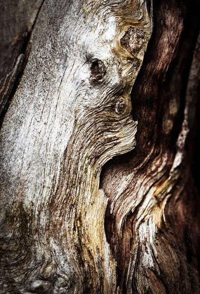 Abstract Achtergrond Texture Detail Van Gebroken Droog Hout — Stockfoto