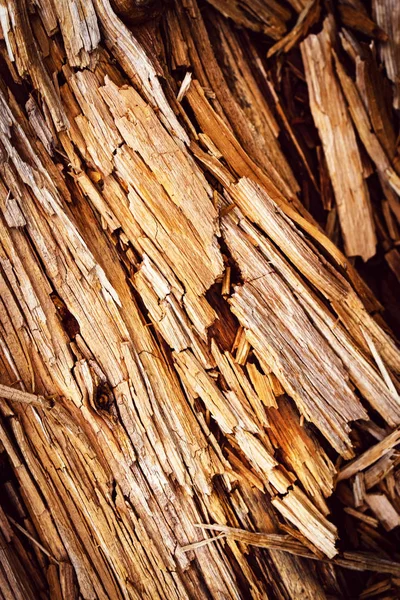 Abstrakter Hintergrund Oder Struktur Zerbrochenes Morsches Holz — Stockfoto