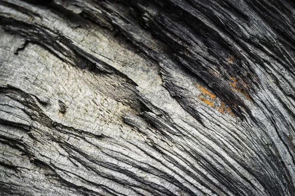 Abstract Background Texture Detail Dry Broken Wood — Stock Photo, Image