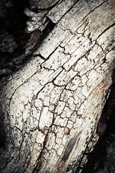 Background Texture Detail Old Wood Crack — Stock Photo, Image