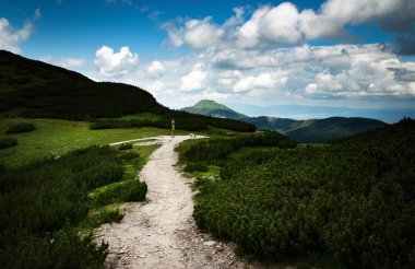 Doğa Mevsimlik arka plan eyer yüksek dağlarda