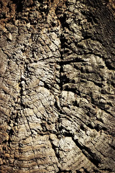 Textura Abstracta Fondo Madera Vieja Dañada —  Fotos de Stock