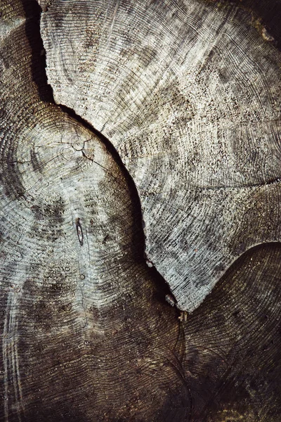 Background Texture Detail Old Stump Sawn — Stock Photo, Image