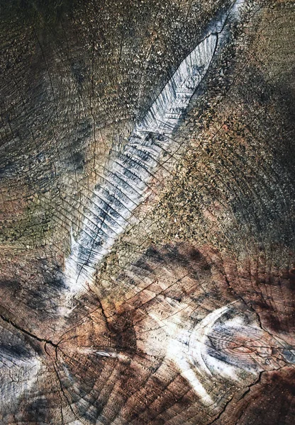 Arka Plan Veya Doku Soyut Detay Üzerinde Yıpranmış Eski Güdük — Stok fotoğraf