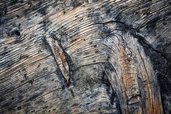 Fondo Abstracto Textura Detalle Una Vieja Madera Envejecida — Foto de Stock