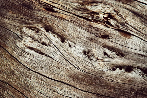 Background Texture Abstract Detail Dry Wood — Stock Photo, Image
