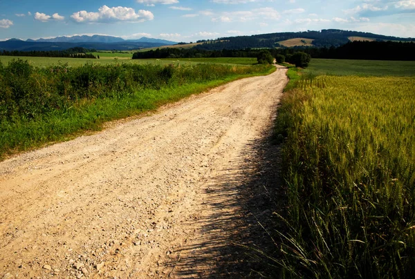 Paisaje Fondo Sendero Arenoso Través Pintoresco Campo — Foto de Stock