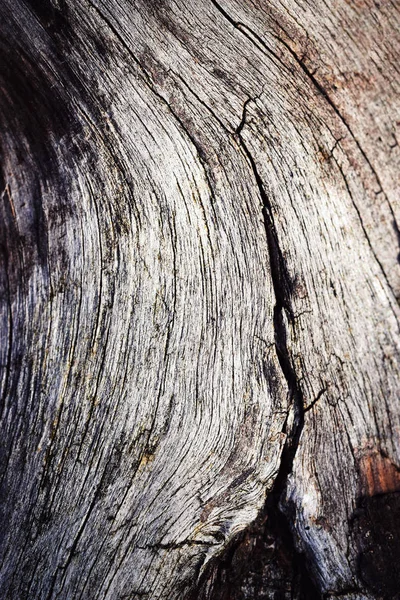 Fond Texture Fissure Dans Vieux Bois — Photo