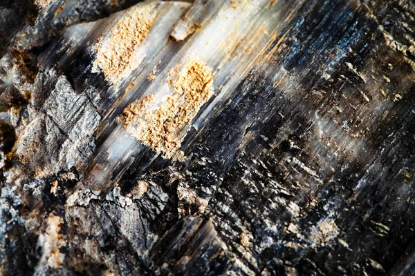 Pozadí Nebo Textury Abstraktní Detail Šedého Kamene — Stock fotografie