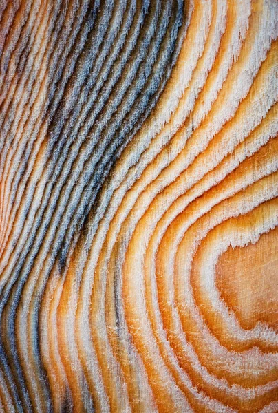 Background Texture Abstract Map Wooden Board — Stock Photo, Image