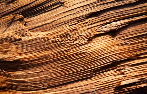 Astratto Sfondo Texture Dettaglio Linee Tritate Legno — Foto Stock