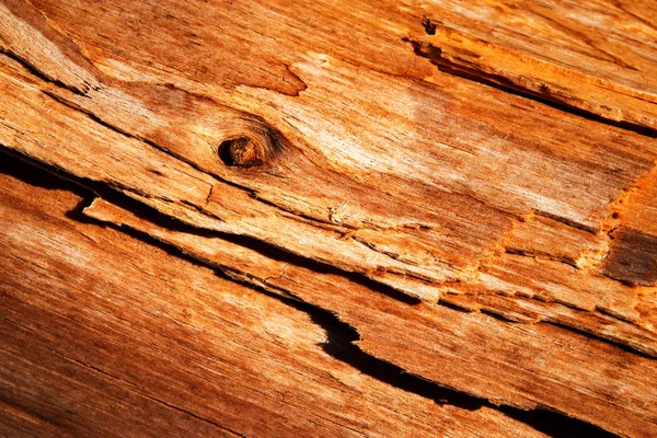 Abstract Background Texture Detail Decayed Weathered Wood — Stock Photo, Image