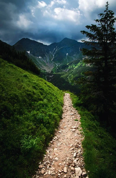 nature seasonal background mountain walk to the dark landscape