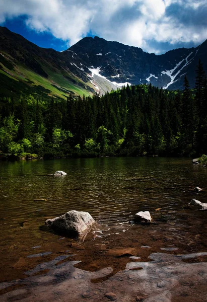 nature landscape background mirroring on the surface of an alpine lake