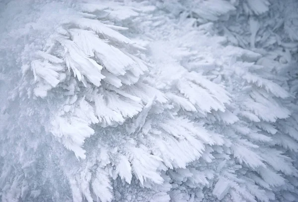 抽象的な雪の結晶を凍結季節背景 — ストック写真