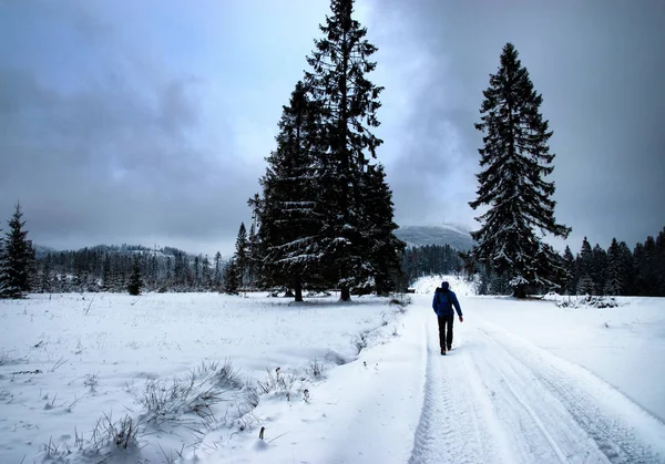 一个人走过黑暗的冬季景观的季节性背景图 — 图库照片