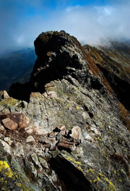 doğa manzara arka plan detay kayalık sırt üzerinde