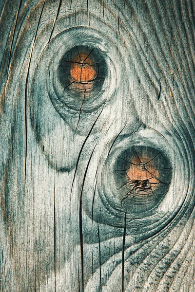 background or texture old gray wood with knots in two