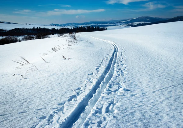 Краєвид Сніговий Зимовий Пейзаж Перехрестям Кантрі Лижна Стежка — стокове фото