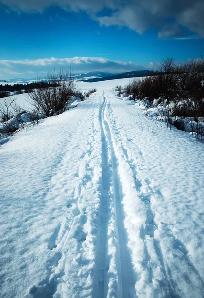 景观多雪的冬季景观与越野滑雪道 — 图库照片