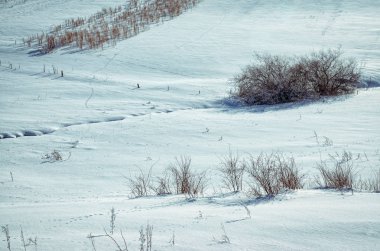 Mevsimlik arka plan alanları ve çayırlar tarım kış manzara