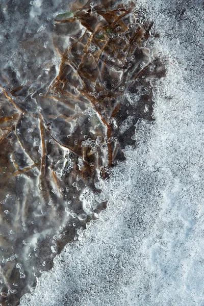 Seasonal Background Texture Dry Grass Frozen Ice — Stock Photo, Image