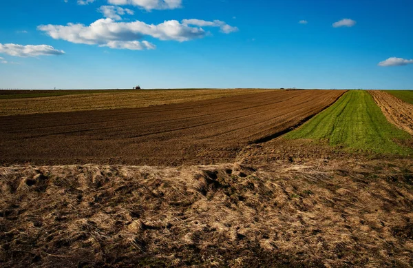 Fields sowing in spring — Stock Photo, Image