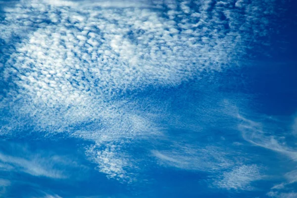 Céu abstrato com nuvens de algas — Fotografia de Stock