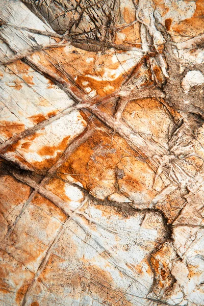 Quartz veins on limestone rock — Stock Photo, Image