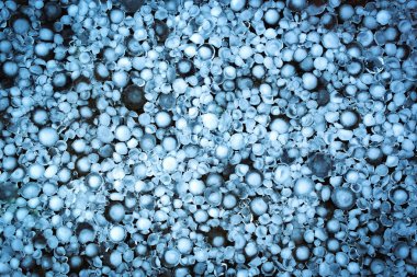 bir fırtınadan sonra buz dolu