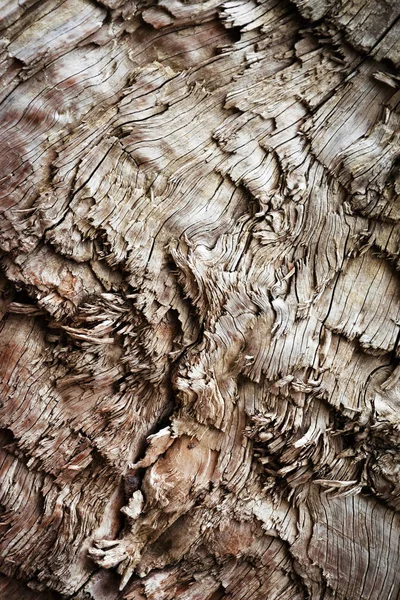 Detail van gescheurd gehakte hout — Stockfoto
